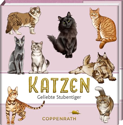 Katzen - Geliebte Stubentiger